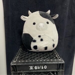 RARE ULGA Squishmellow